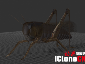 【iclone模型】蝗虫
